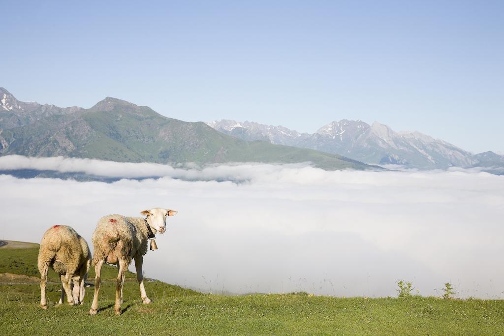 Hotel Le Viscos Saint-Savin  Zewnętrze zdjęcie