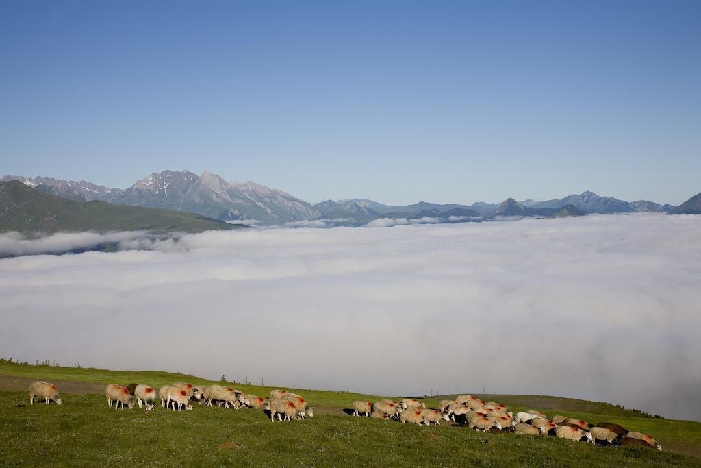 Hotel Le Viscos Saint-Savin  Zewnętrze zdjęcie